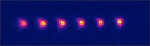 Individual polyatomic molecules are trapped in optical tweezer arrays
