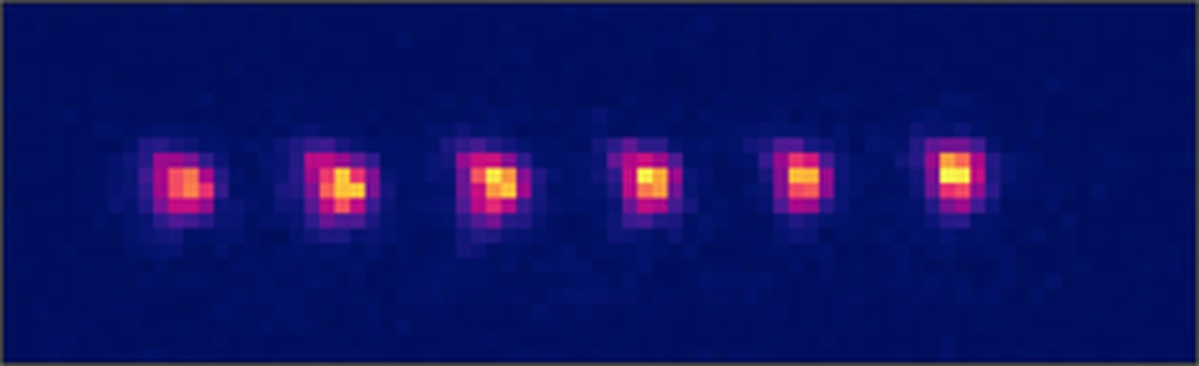Individual polyatomic molecules are trapped in optical tweezer arrays