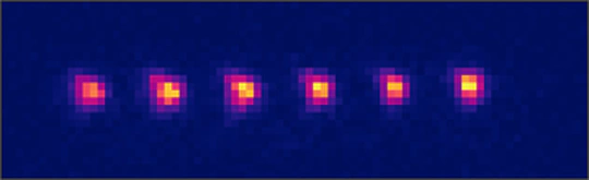 Individual polyatomic molecules are trapped in optical tweezer arrays