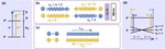 Conveyor-belt magneto-optical trapping of molecules