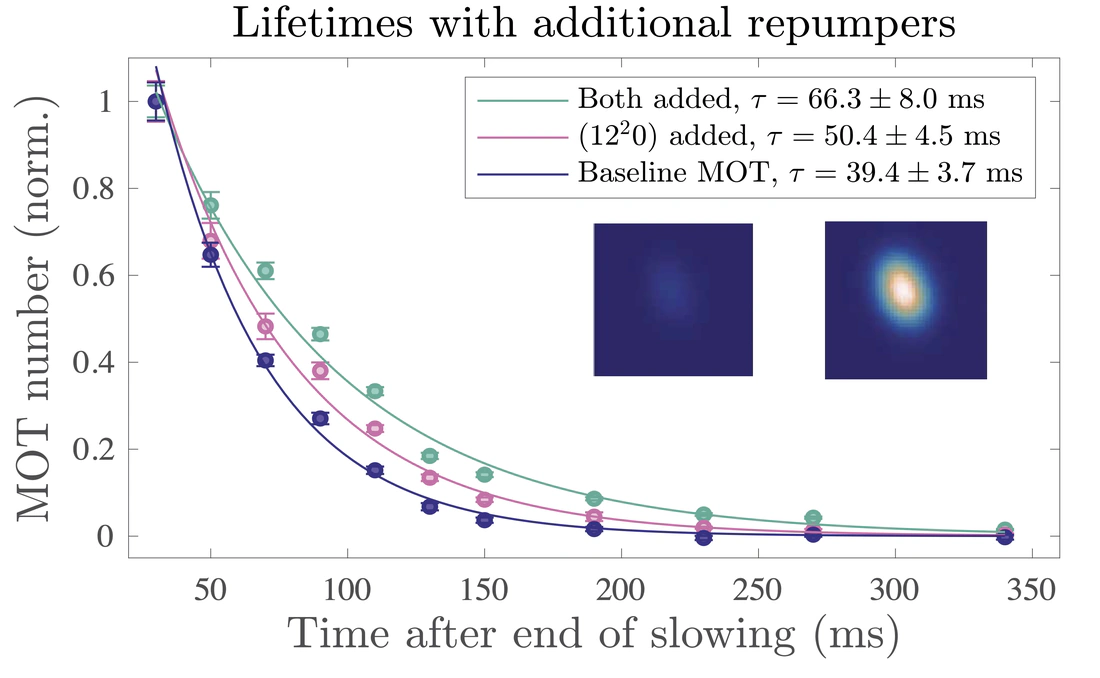 High-sensitivity molecular spectroscopy of SrOH using magneto-optical trapping