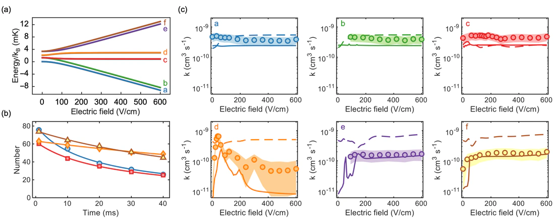 Quantum-State-Controlled Collisions of Ultracold Polyatomic Molecules