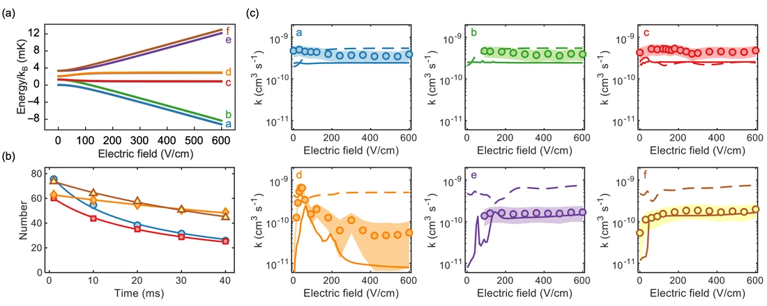 Quantum-State-Controlled Collisions of Ultracold Polyatomic Molecules